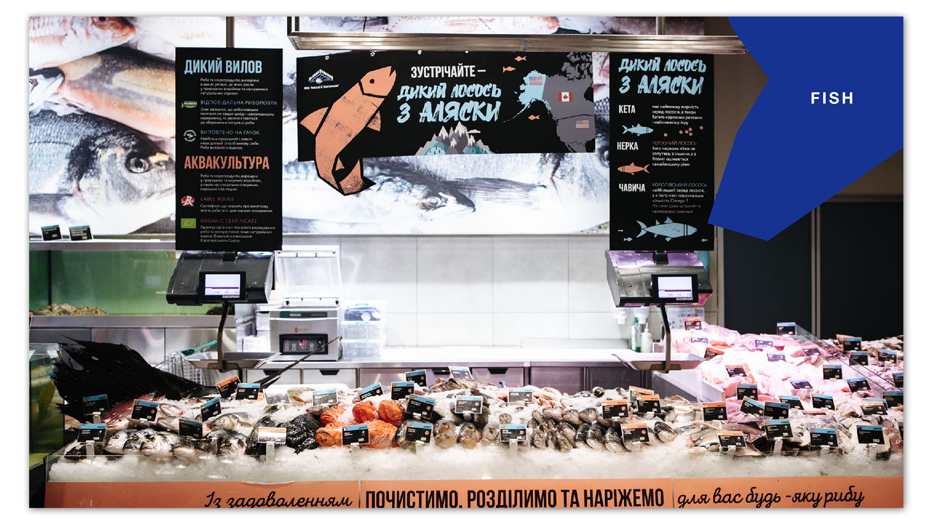 goodwine-presentation