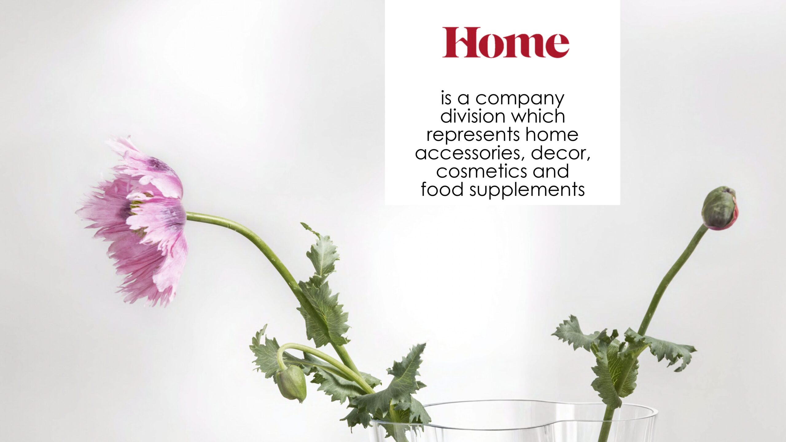 goodwine-presentation