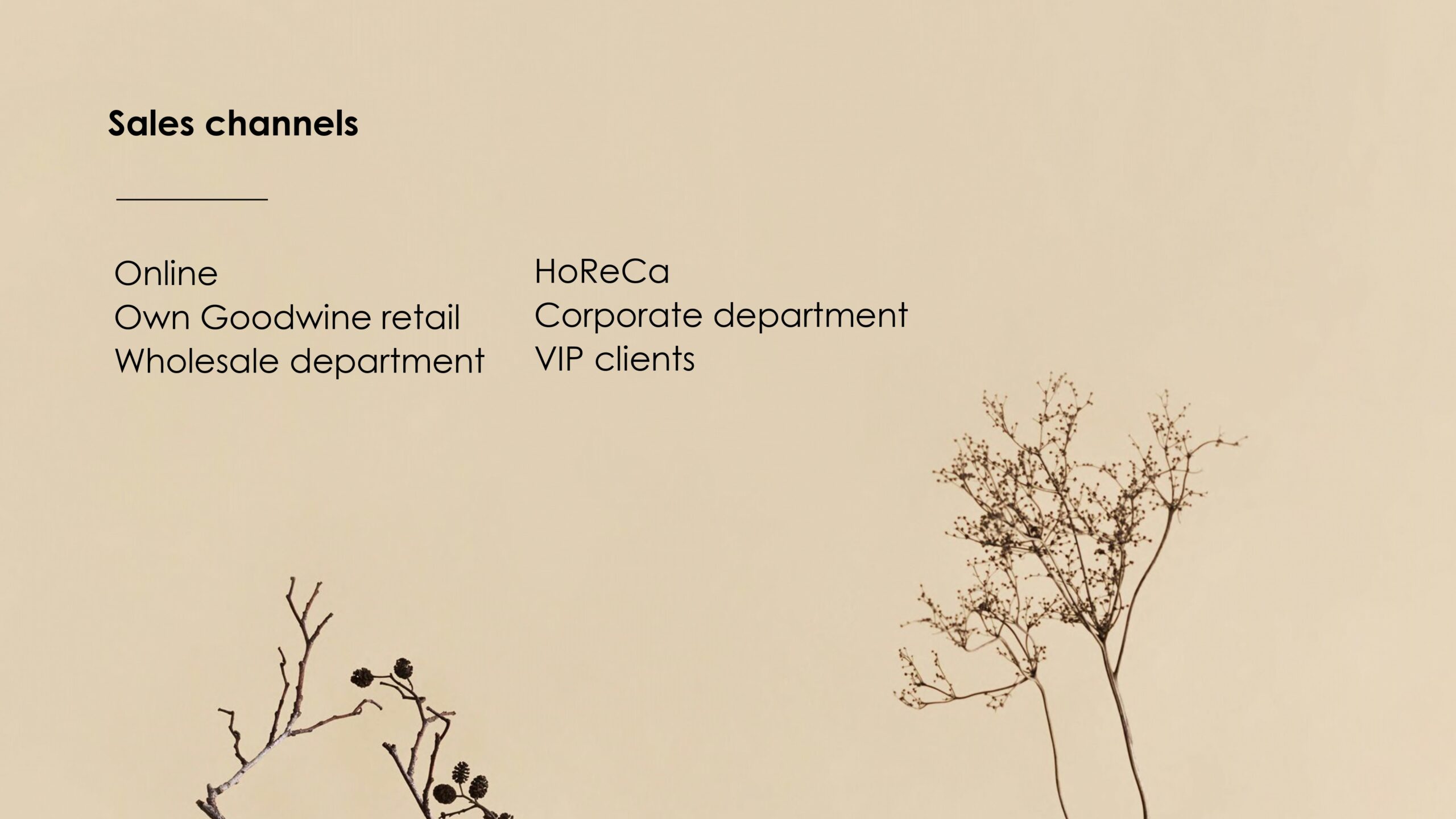 goodwine-presentation