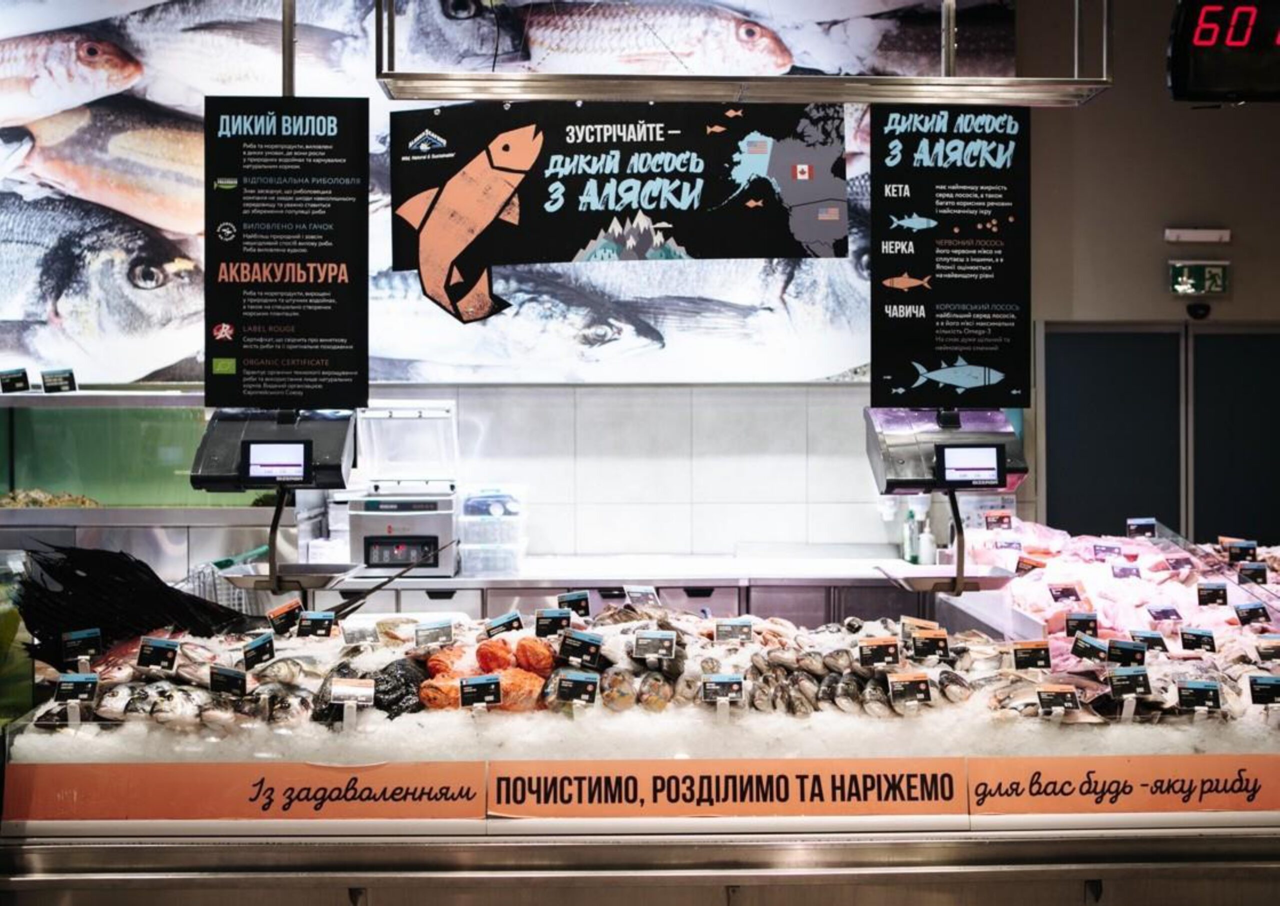 goodwine-presentation