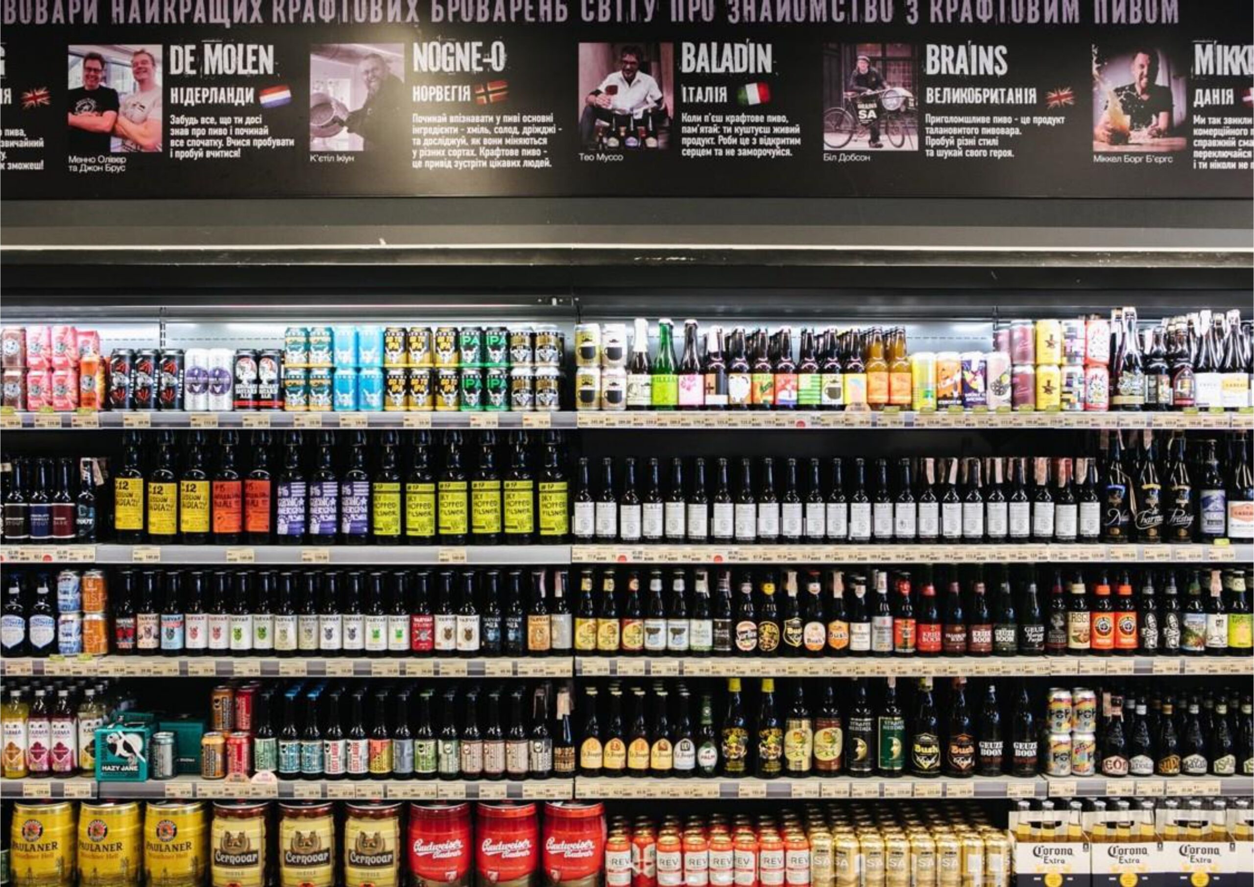 goodwine-presentation