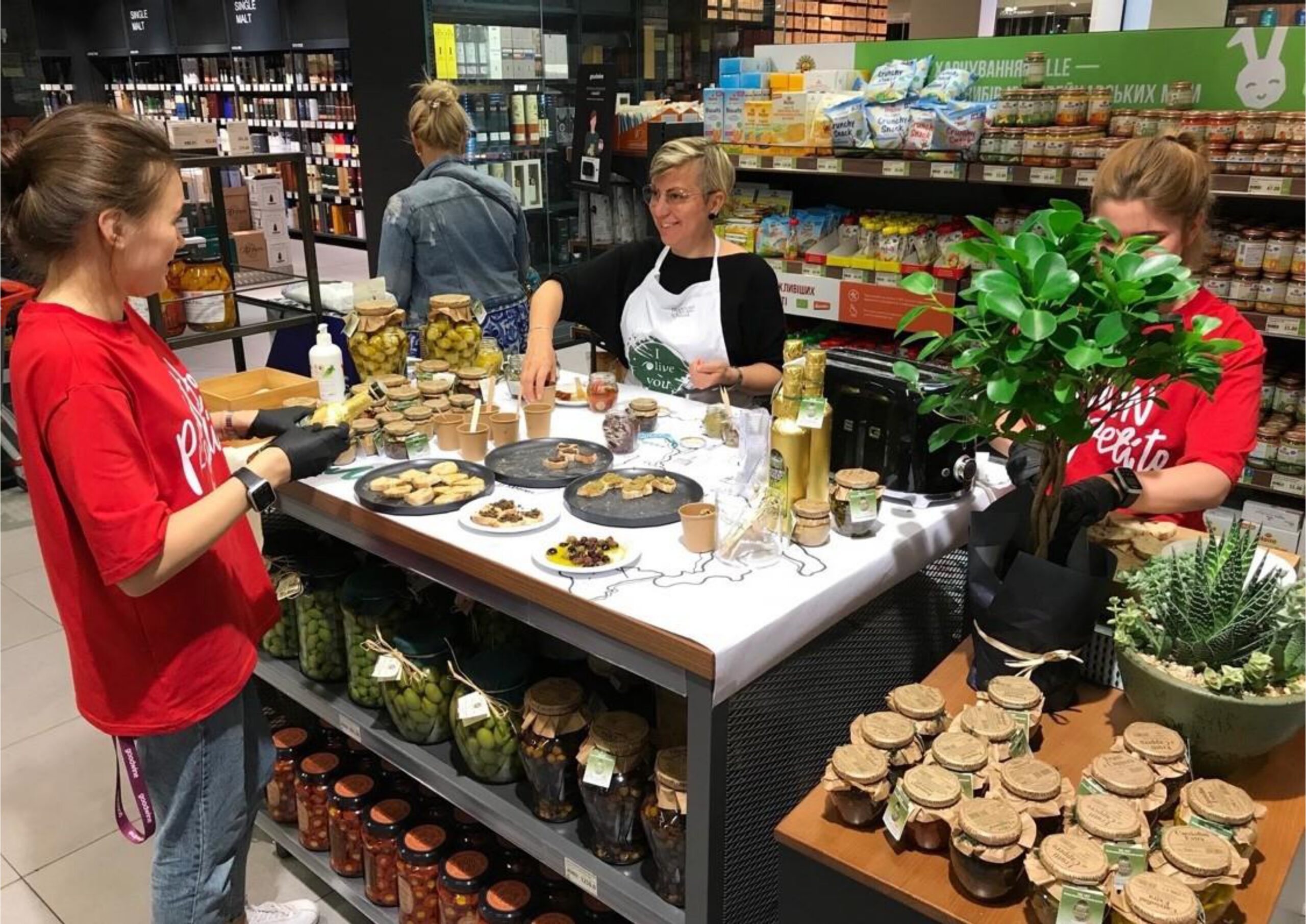 goodwine-presentation